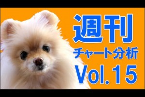 FX 週刊チャート分析（ユロ円）Vol.15